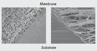 Tubular Membrane