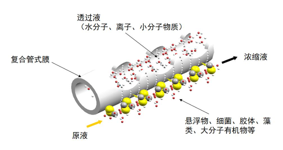 微信图片_20210702144440.png